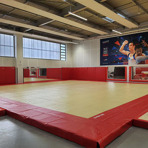 praticable pour gymnastique 1