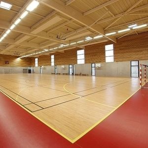 sol sportif d'intérieur 1