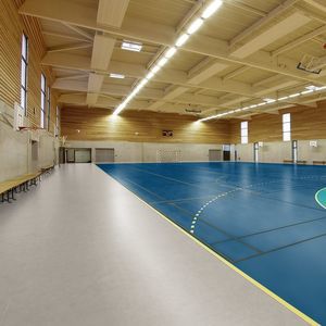 sol sportif d'intérieur 1