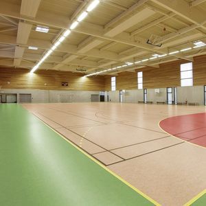 sol sportif d'intérieur 1
