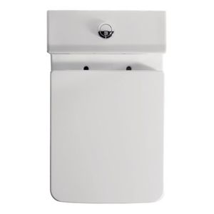 WC monobloc 1