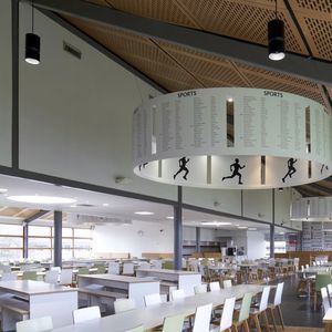 downlight suspension 1