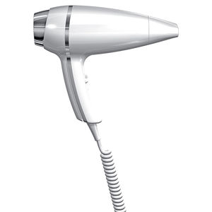 sèche-cheveux professionnel 1