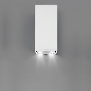 hotte murale 1
