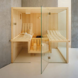sauna professionnel 1