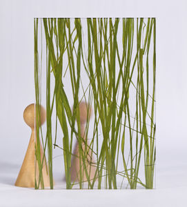 panneau décoratif acrylique / pour agencement intérieur / lisse / avec insert en plante naturelle