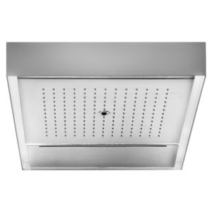 pommeau de douche de plafond