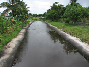 géotextile non-tissé / en tissu / pour drainage
