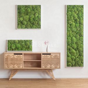 tableau végétal stabilisé 1