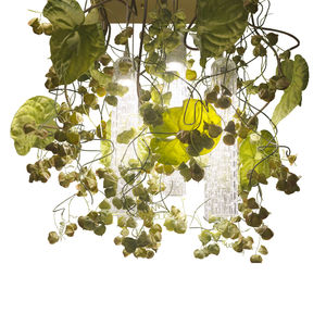 lustre design original