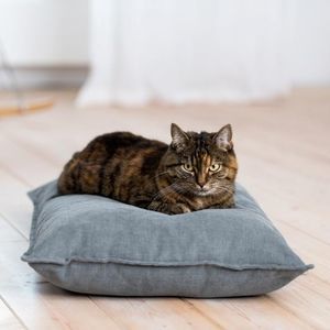 coussin pour animaux domestiques (chien et chat)