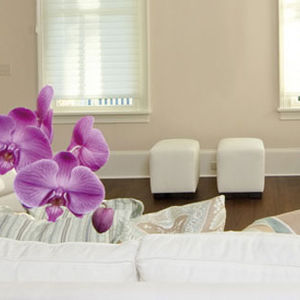 peinture décorative