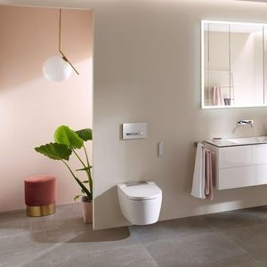 bouton de chasse d'eau double