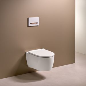 WC suspendu 1
