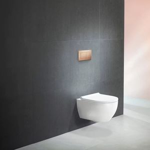 bouton de chasse d'eau double