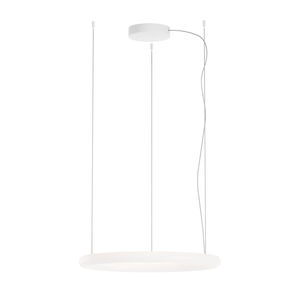 luminaire suspendu 1