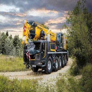 grue télescopique
