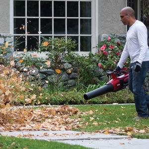 souffleur de feuilles portatif