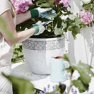 pot de jardin en plastique