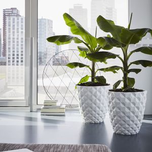 pot de jardin en plastique