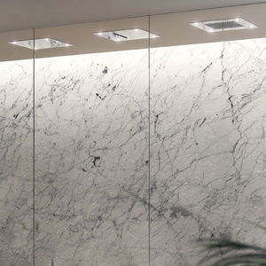 pommeau de douche encastrable au plafond