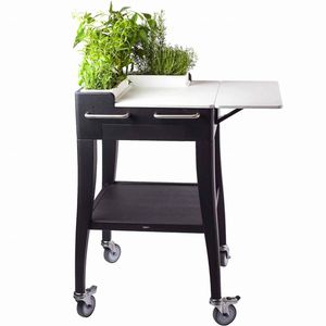 chariot de jardin
