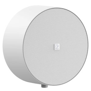 enceinte de plafond 1
