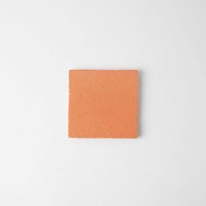 carrelage de terre cuite 1