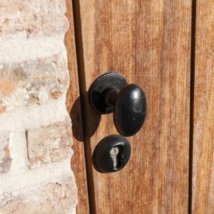 bouton de porte classique 1
