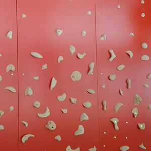 mur d'escalade fixe
