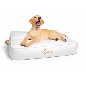 coussin pour animaux domestiques (chien et chat)