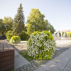 jardinière à tour en acier galvanisé 1
