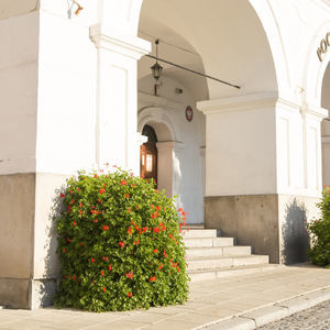 jardinière en acier galvanisé