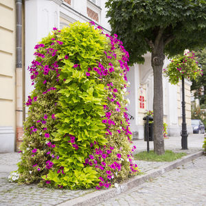 jardinière à tour en acier galvanisé 1