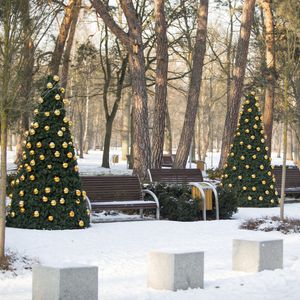 arbre de Noël