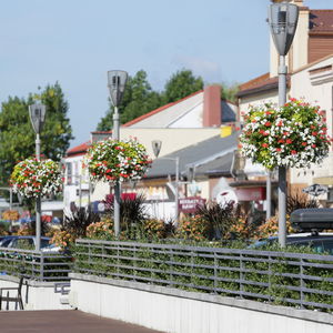 jardinière urbaine suspendue en acier galvanisé
