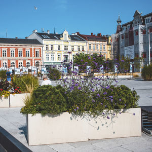 jardinière en béton