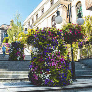 jardinière en acier galvanisé