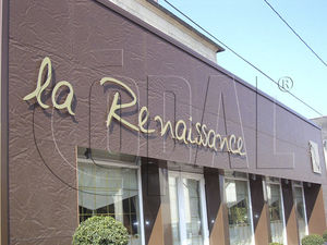 bardage en panneaux / en pierre / texturé / lisse