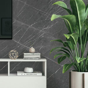carrelages en porcelaine