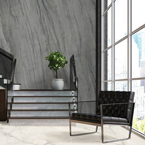 carrelages en porcelaine