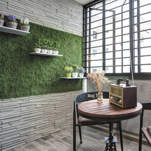 parement en béton / extérieur / intérieur / 3D