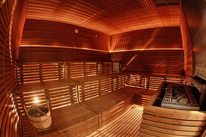sauna finlandais 1