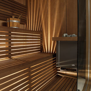 sauna professionnel 1