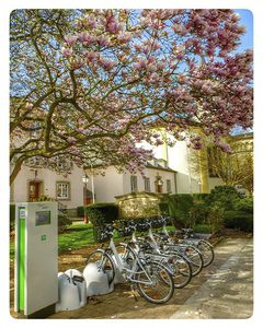 station de recharge pour voiture électrique / pour vélos électriques