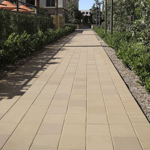 pavé en pierre 1