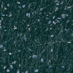 papier peint contemporain 1