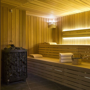 sauna professionnel