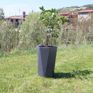 pot de jardin en acier inoxydable