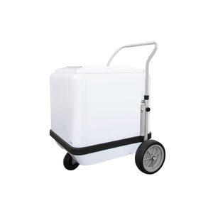 chariot à glaces